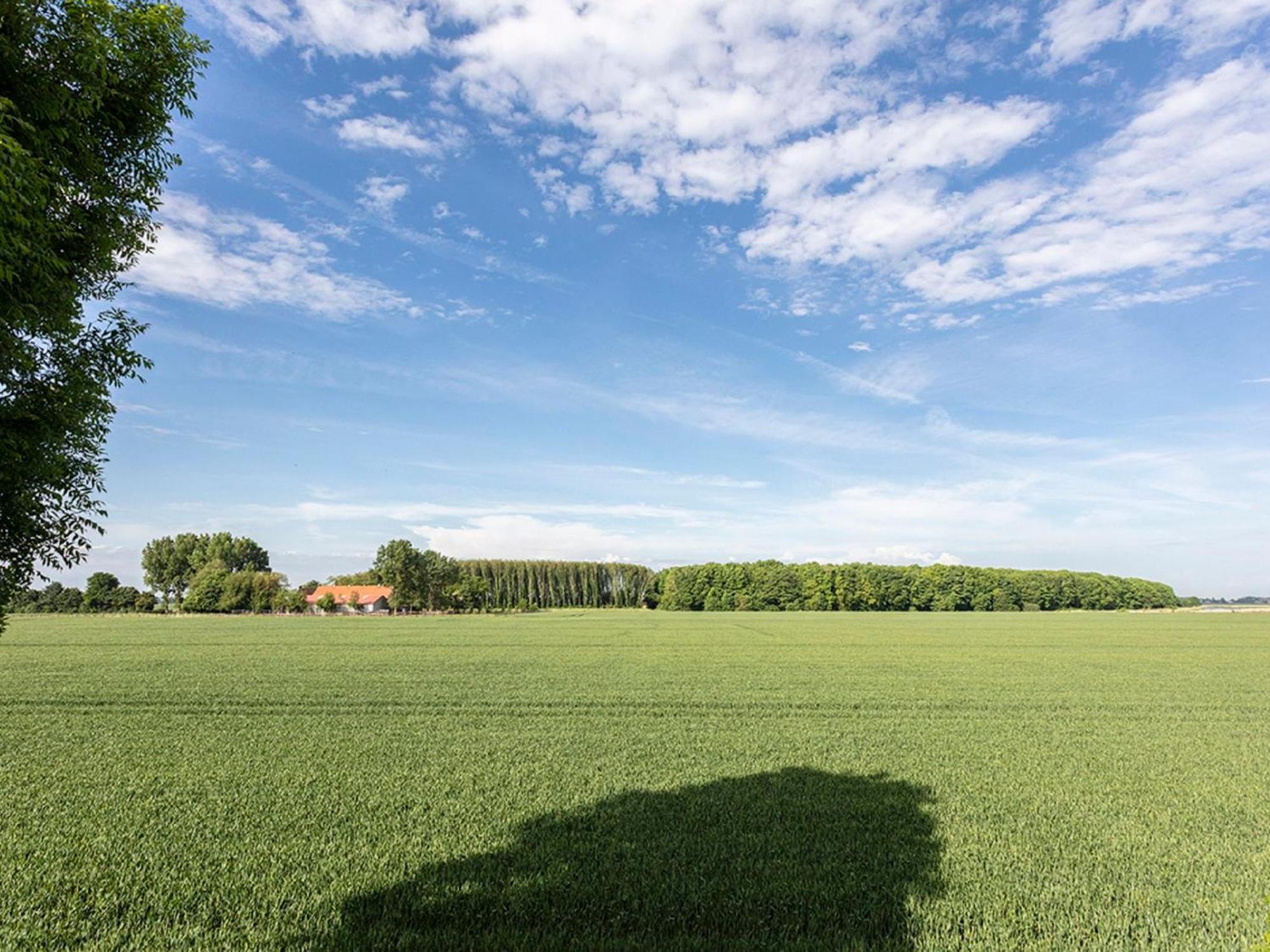 Holiday Home Tuinzicht By Interhome Zuid-Beijerland Kültér fotó